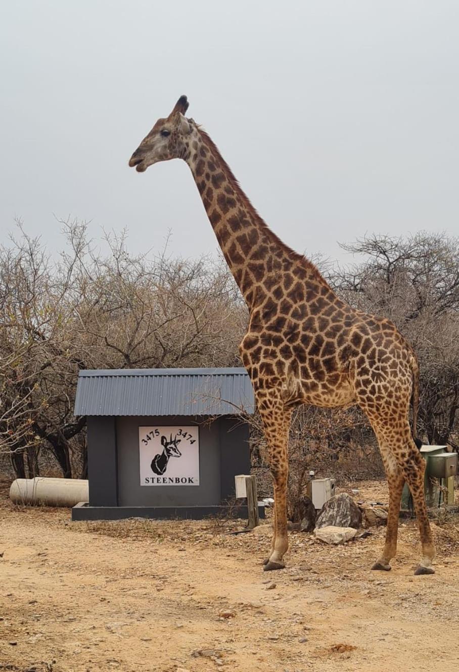 Singwe Private Safari Lodge Kruger Marloth Park Dış mekan fotoğraf